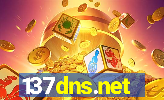 137dns.net