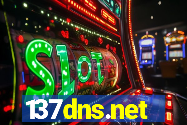 137dns.net