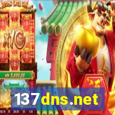 137dns.net
