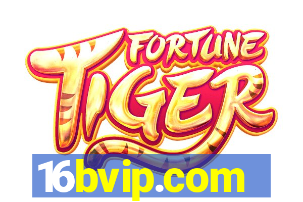 16bvip.com