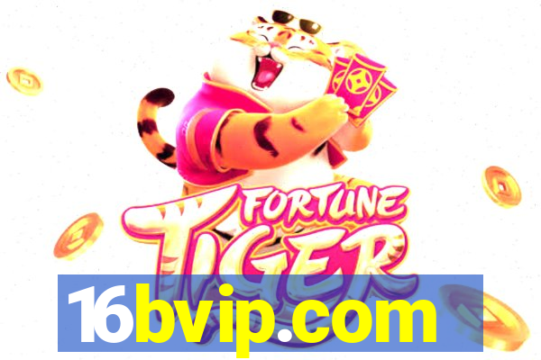 16bvip.com