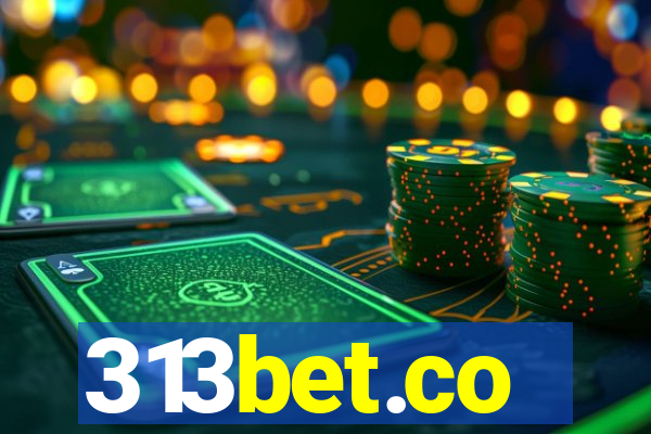 313bet.co