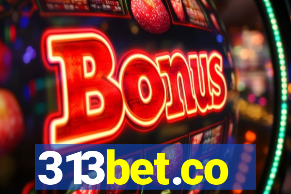 313bet.co