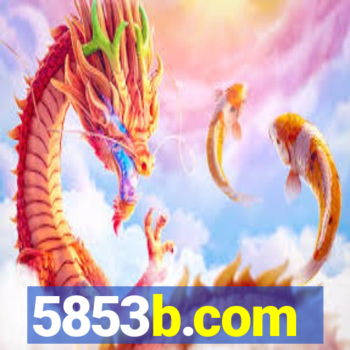 5853b.com