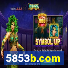 5853b.com