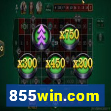 855win.com