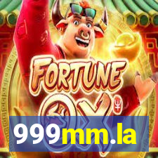 999mm.la