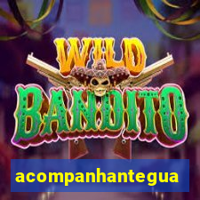 acompanhanteguanambi