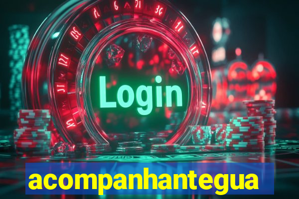 acompanhanteguanambi