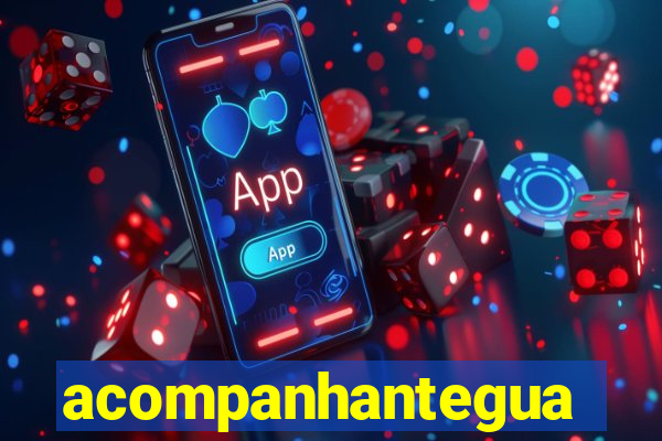 acompanhanteguanambi
