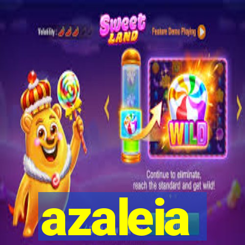 azaleia-br.com