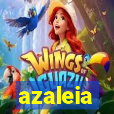 azaleia-br.com