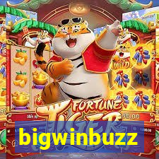 bigwinbuzz