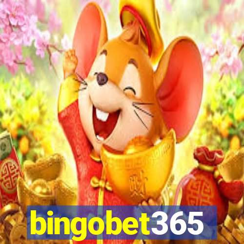 bingobet365