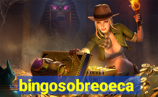 bingosobreoeca