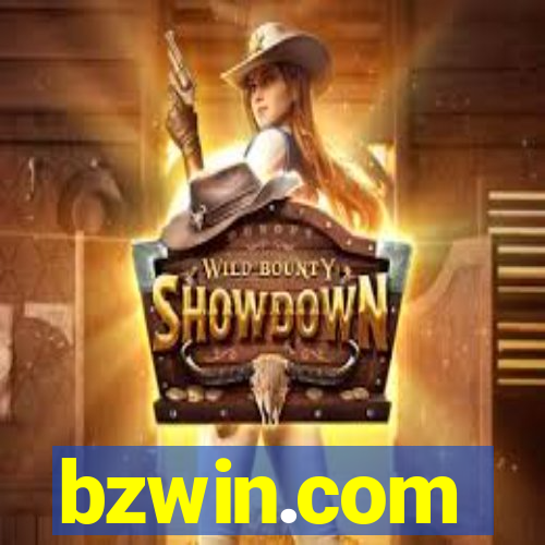 bzwin.com