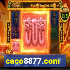 caco8877.com