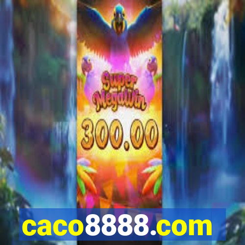 caco8888.com