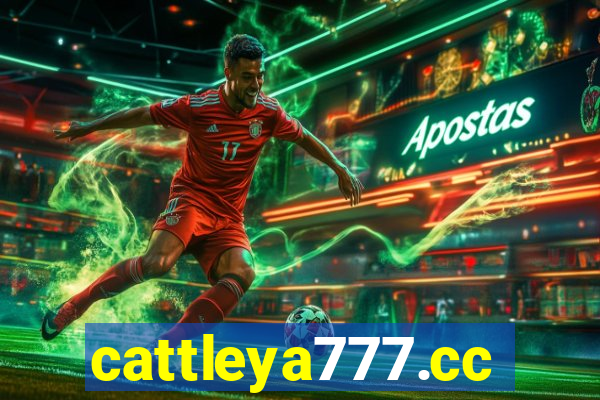 cattleya777.cc