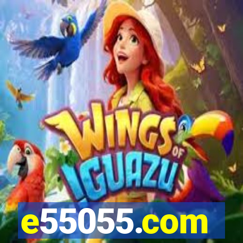 e55055.com