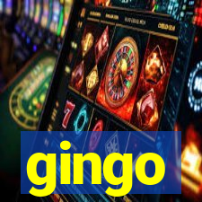 gingo