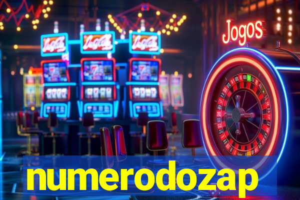 numerodozap