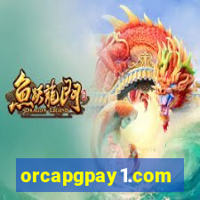 orcapgpay1.com