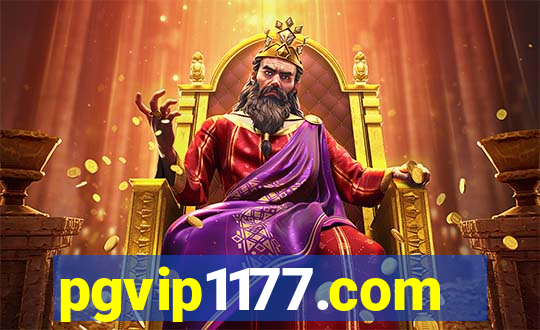 pgvip1177.com