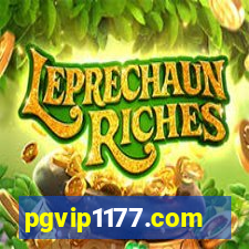 pgvip1177.com