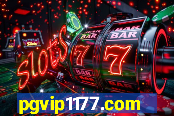 pgvip1177.com
