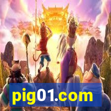 pig01.com