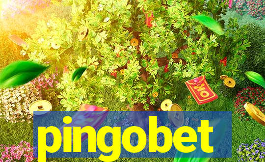 pingobet