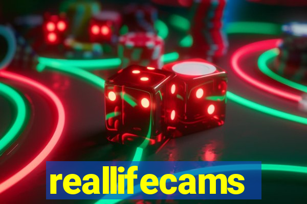 reallifecams
