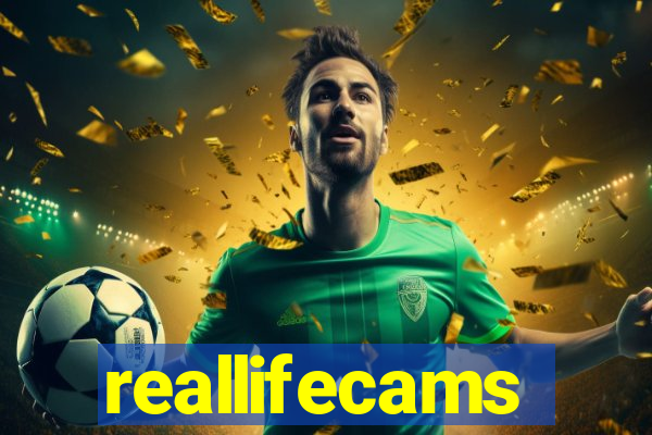 reallifecams