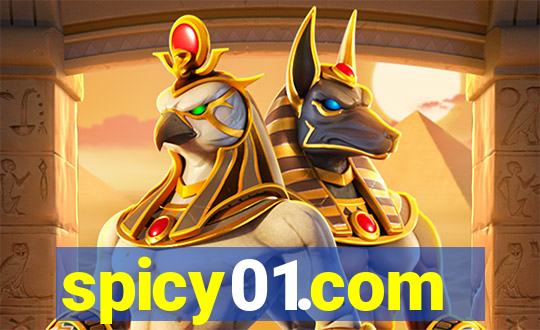 spicy01.com