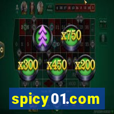 spicy01.com