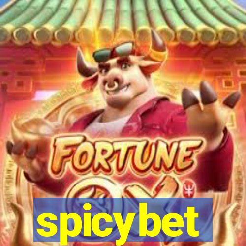 spicybet-3.com