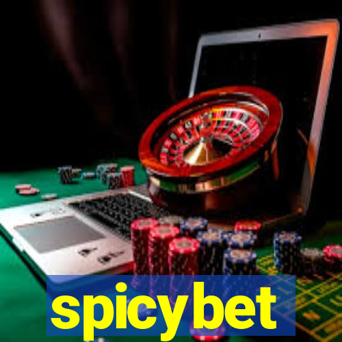 spicybet-4.com