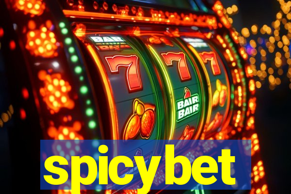 spicybet-4.com