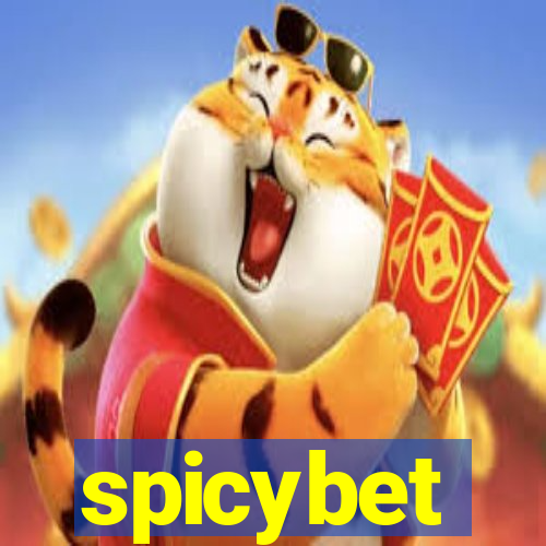spicybet-4.com