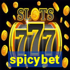 spicybet-4.com