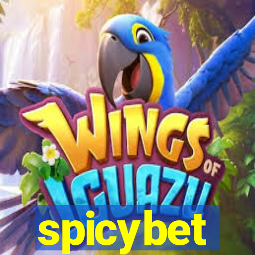 spicybet-5.com
