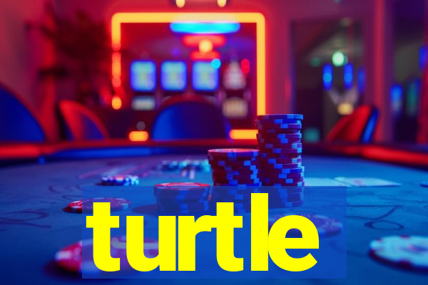 turtle-ty.com