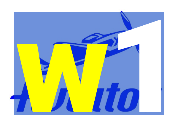 w1-skiipg.com