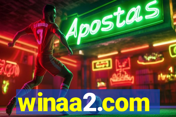 winaa2.com