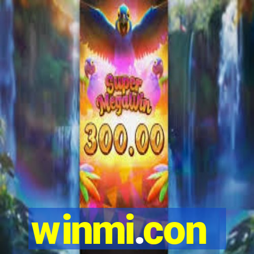 winmi.con